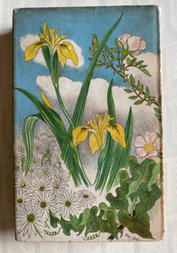 Image 10 of Wild Flowers in Britain Robert Gathorne-Hardy