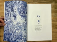 Image 2 of Mater Baltica di Elena Tognoli - La grande illusion