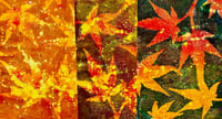 Image 1 of Autumn Leaf  Gelliprinting at Clevedon Craft Centre 24/10/26