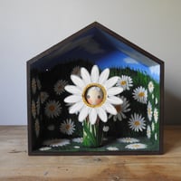 Image 1 of daisy meadow wall box