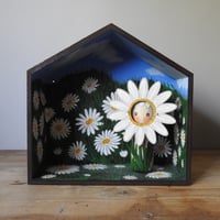 Image 2 of daisy meadow wall box