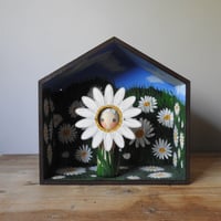 Image 14 of daisy meadow wall box