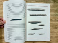Image 3 of Viaggio in Islanda di Guido Scarabottolo - La grande illusion