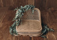 Image 6 of Eucalyptus and delicate roses set