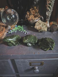 Image 1 of Jade frogs 
