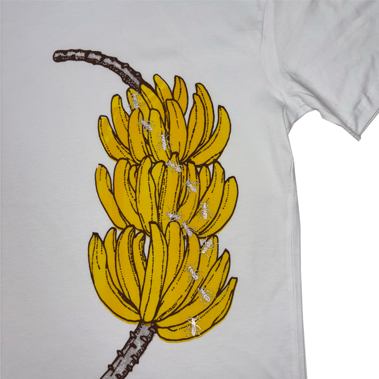 Ripe Nana White Image 2
