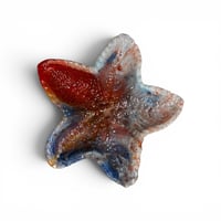 Image 14 of Starfish Trinket Dishes