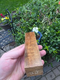 Image 3 of Tasmanian Blackwood 113