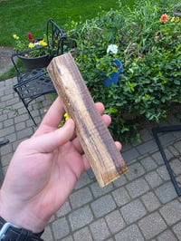 Image 2 of Tasmanian Blackwood 114