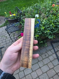 Image 1 of Tasmanian Blackwood 114