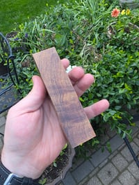 Image 3 of Tasmanian Blackwood 116
