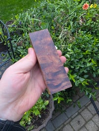 Image 2 of Tasmanian Blackwood 116
