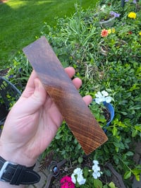 Image 2 of Tasmanian Blackwood 117