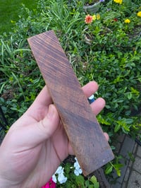 Image 1 of Tasmanian Blackwood 117
