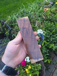 Image 2 of Tasmanian Blackwood 118 