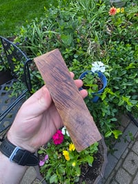 Image 1 of Tasmanian Blackwood 118 
