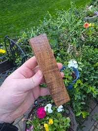 Image 2 of Tasmanian Blackwood 123