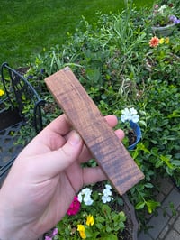 Image 1 of Tasmanian Blackwood 123