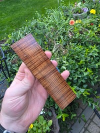 Image 1 of Tasmanian Blackwood 120