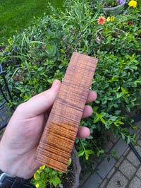 Image 2 of Tasmanian Blackwood 120