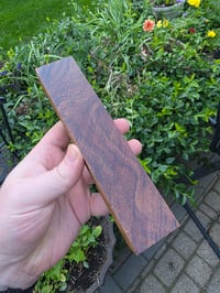 Image 1 of Tasmanian Blackwood 121