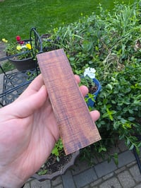 Image 2 of Tasmanian Blackwood 122