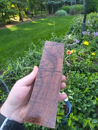 Image 2 of Tasmanian Blackwood 124