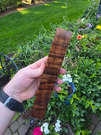 Image 3 of Tasmanian Blackwood 125
