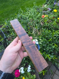 Image 2 of Tasmanian Blackwood 125