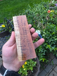 Image 1 of Tasmanian Blackwood 126