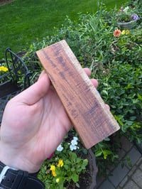Image 2 of Tasmanian Blackwood 126