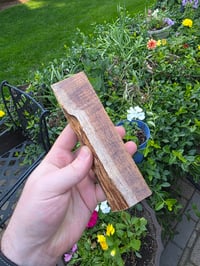 Image 3 of Tasmanian Blackwood 127