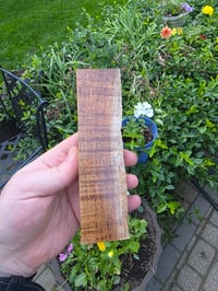 Image 2 of Tasmanian Blackwood 127
