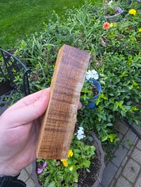 Image 1 of Tasmanian Blackwood 127