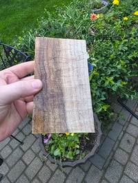 Image 2 of Tasmanian Blackwood 128