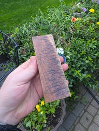 Image 3 of Tasmanian Blackwood 129