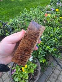 Image 2 of Tasmanian Blackwood 129