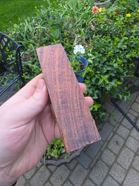 Image 2 of Tasmanian Blackwood 130
