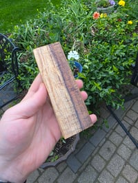 Image 3 of Tasmanian Blackwood 131