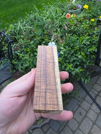 Image 2 of Tasmanian Blackwood 131