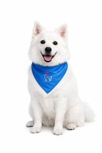 Image 1 of Threadella Studio Blue Embroidered Angel Dog Bandana, Soft Cotton Bib for Small & Medium Dogs
