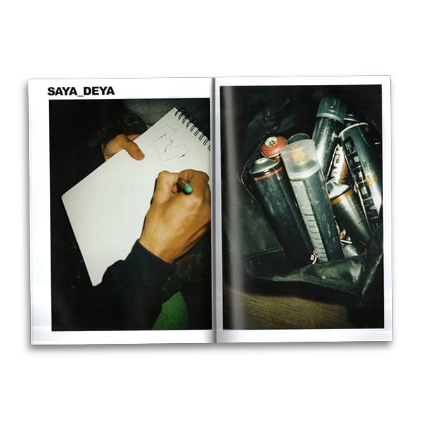 Image of  Disposable Memoirs