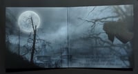Image 3 of TEMNOZOR  "Haunted Dreamscapes" LP