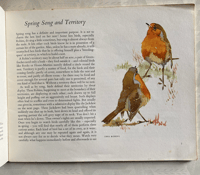 Image 2 of Bird Study in the Garden a Puffin Picture Book