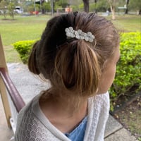 Image 1 of Silver Daisy clip