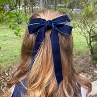 Image 1 of Velvet Longtail bow / Orion