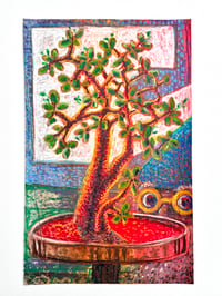 Image 1 of Tree Observation