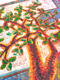 Image 2 of Tree Observation