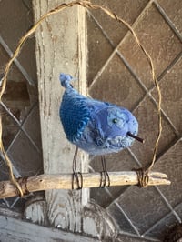 Image 1 of Swinging Bluebird