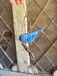 Image 3 of Swinging Bluebird